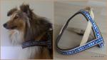 Dog-Accessoires_and_more-bleu-2011.jpg