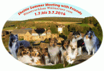 Sheltietreffen-2016-Logo5_GIF.gif