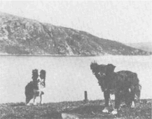 Bild "Willkommen:Toonies-Shetland-Inseln-1896.jpg"